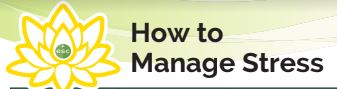 How to Manage Stress